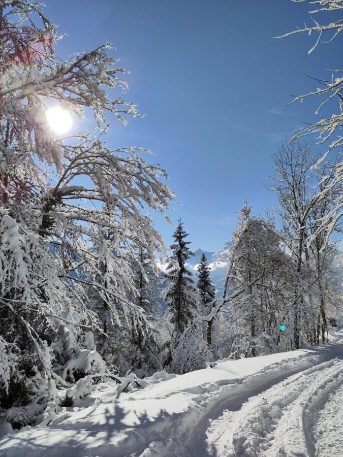 Logement Entre Lac Et Montagnes Thônes Dış mekan fotoğraf